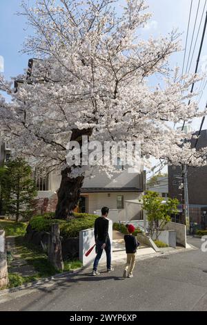 Tokyo, Giappone. 7 aprile 2024. Il padre torna a casa insieme a suo figlio dopo una sessione di allenamento di baseball in un parco vicino al fiume Tama. (Foto di Stanislav Kogiku/SOPA Images/Sipa USA) credito: SIPA USA/Alamy Live News Foto Stock