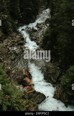 Cascata di fiume selvaggia nella foresta di montagna Foto Stock