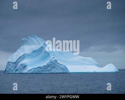 Iceberg nello stretto di Brandsfield tra le Shetlands meridionali e la penisola antartica. Foto Stock