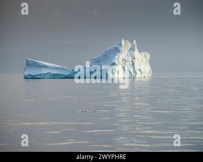 Iceberg nello stretto di Orleans al largo della costa Davis della Penisola Antartica. Foto Stock