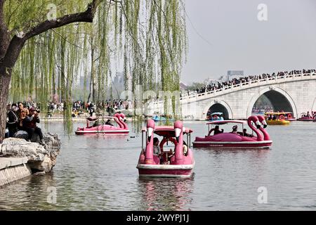 I turisti apprezzano lo scenario primaverile del Parco Yuyuantan in barca durante la vacanza del Festival Qingming a Pechino, Cina, il 5 aprile 2024. Foto Stock