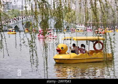 I turisti apprezzano lo scenario primaverile del Parco Yuyuantan in barca durante la vacanza del Festival Qingming a Pechino, Cina, il 5 aprile 2024. Foto Stock
