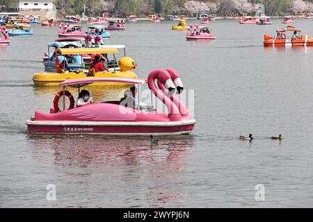 I turisti apprezzano lo scenario primaverile del Parco Yuyuantan in barca durante la vacanza del Festival Qingming a Pechino, Cina, il 5 aprile 2024. Foto Stock