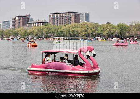 I turisti apprezzano lo scenario primaverile del Parco Yuyuantan in barca durante la vacanza del Festival Qingming a Pechino, Cina, il 5 aprile 2024. Foto Stock