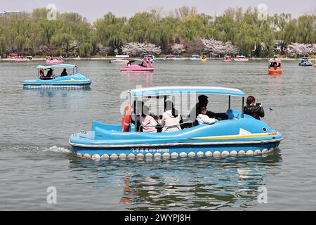 I turisti apprezzano lo scenario primaverile del Parco Yuyuantan in barca durante la vacanza del Festival Qingming a Pechino, Cina, il 5 aprile 2024. Foto Stock