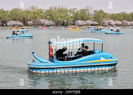 I turisti apprezzano lo scenario primaverile del Parco Yuyuantan in barca durante la vacanza del Festival Qingming a Pechino, Cina, il 5 aprile 2024. Foto Stock