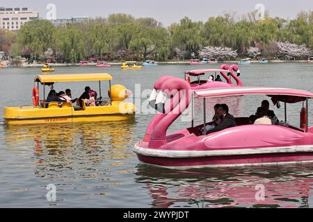 I turisti apprezzano lo scenario primaverile del Parco Yuyuantan in barca durante la vacanza del Festival Qingming a Pechino, Cina, il 5 aprile 2024. Foto Stock