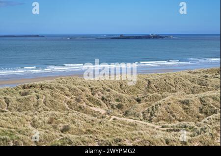 Le isole farne al largo della costa della Northumbria vicino al castello di Bamburgh, Regno Unito Foto Stock