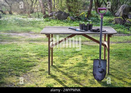 Tavolo da giardino in legno con vanga, pala e alcune piante in vaso nel cortile posteriore, concetto di giardinaggio, spazio copia, messa a fuoco selezionata Foto Stock