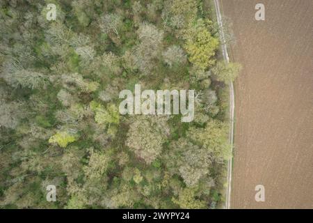 Esmoulins, Francia. 27 marzo 2024. Vista del bosco vicino a Esmoulins dove Alexia Fouillot Daval fu trovata morta dopo essere stata uccisa da suo marito Jonathann Daval nel 2017. Atmosphere 7 anni dopo l'omicidio di Alexia Daval, prima di un nuovo processo contro Jonathann Daval per diffamazione avviato dai genitori di Alexia, Jean-Pierre e Isabelle Fouillot. 27 marzo 2024. Foto di Raphael Lafargue/ABACAPRESS.COM credito: Abaca Press/Alamy Live News Foto Stock