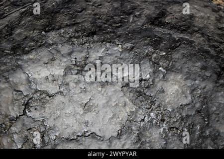 Antiche ceramiche modellate della cultura Zarubintsy della prima età del ferro con scavi archeologici. Primo piano della trama Foto Stock