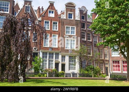 Antiche case medievali storiche nel Begijnhof, il cortile più antico di Amsterdam. Foto Stock