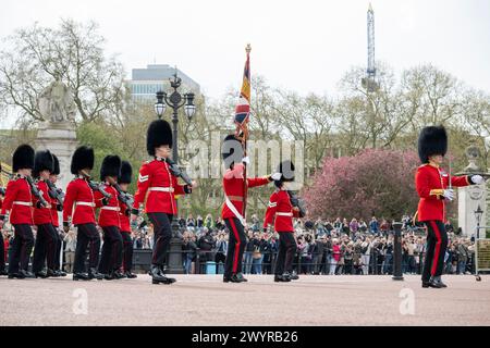 Buckingham Palace, Londra, Regno Unito. 8 aprile 2024. La Gendarmerie Nationale francese sfilò insieme ai soldati della Household Division dell'esercito britannico per celebrare il 120° anniversario dell'intesa cordiale. Saranno ispezionati dal Duca e dalla Duchessa di Edimburgo, dal Capo di Stato maggiore del Regno Unito (CGS), dal generale Sir Patrick Sanders, dal Capo di Stato maggiore dell'esercito francese, dal generale Pierre Schill e dall'ambasciatore francese presso il Regno Unito Helene Duchene. La Gendarmeria è marciata dentro e fuori dal piazzale di Buckingham Palace dalla Band of the Grenadier Guards, che esegue anche gli inni nazionali di entrambi i paesi A. Foto Stock