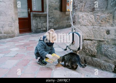 Una bambina dà da mangiare a un gatto tabby per strada vicino alla casa, accovacciandosi Foto Stock