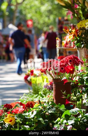 Ramblas. Barcellona. Catalogna. Spagna. Foto Stock