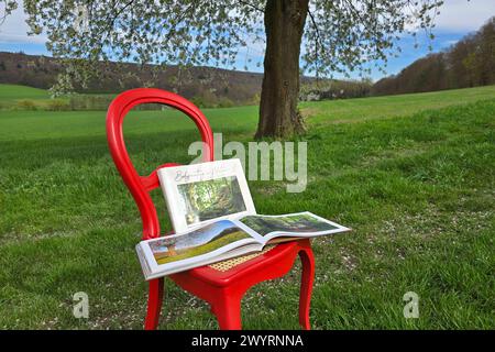 Der Fotobildband Bodypainting in Nature von Jörg Düsterwald präsentiert auf einem roten Stuhl im Gröninger Feld. Hameln, 08.04.2024 *** il libro fotografico Bodypainting in Nature di Jörg Düsterwald presentato su una sedia rossa in Gröninger Feld Hameln, 08 04 2024 foto:XT.xSkupinx/xFuturexImagex kirschbluete bodypainting 4404 Foto Stock