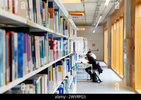 Tavoli di studio, Carlos Santa Maria Center, Gipuzkoa Campus Library, UPV, EHU, Basque Country University, Donostia, San Sebastian, Gipuzkoa, Spagna, Europa. Foto Stock