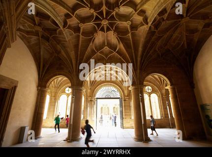 Chiostro dell'ex convento domenicano (XVI secolo), Museo San Telmo, San Sebastian, Gipuzkoa, Paesi Baschi, Spagna. Foto Stock