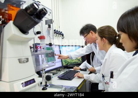 Insegnante e studenti. Microscopio ottico invertito. Con camera di incubazione per esperimenti in vivo. Nell'immagine: GFP ADSC su ponteggi PCL. Tecniche avanzate quali TIRF, confocale, FRET, fotoattivazione e microiniezione. Laboratorio di bioingegneria e microbiologia. Unità Microelectronics e Microsystems. CEIT. Centro di studi e ricerca tecnica. Università di Navarra, Donostia, Gipuzkoa, Paesi Baschi, Spagna. Foto Stock