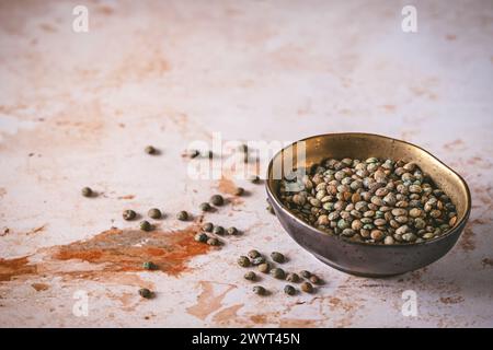 Lenticchie di puy francese in una piccola ciotola su sfondo chiaro, spazio di copia Foto Stock