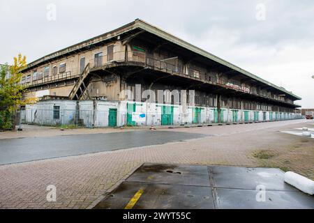 Magazzino del porto abbandonato e trascurato magazzino abbandonato e trascurato all'interno del porto di Rotterdam. Alcune vecchie parti del porto sono sollecitate a ricevere nuove destinazioni dal momento che la maggior parte delle attività del porto si spostano a ovest verso Maasvlakte. Rotterdam, Paesi Bassi Tilburg Keilestraat Zuid-Holland Nederland Copyright: XGuidoxKoppesxPhotox Foto Stock