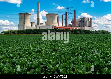 Braunkohl Kraftwerk Neurath 1 Grevenbroich-Neurath, Germania. Le due centrali elettriche Kraftwerk Neurath alimentano il carbone di brauncoal. Grevenbroich - Neurath Energiestrasse 101 Nordrhein - Westphalen germania Copyright: XGuidoxKoppesx Foto Stock