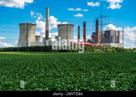 Braunkohl Kraftwerk Neurath 1 Grevenbroich-Neurath, Germania. Le due centrali elettriche Kraftwerk Neurath alimentano il carbone di brauncoal. Grevenbroich - Neurath Energiestrasse 101 Nordrhein - Westphalen germania Copyright: XGuidoxKoppesx Foto Stock