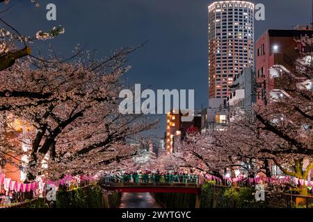 TOKYO, GIAPPONE - 06 APRILE 2024: Folle di persone che celebrano l'Hanami (fioritura dei ciliegi) lungo il fiume Meguro a Tokyo. Foto Stock