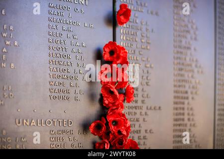 Canberra, Australia - 22 ottobre 2009: Australian War Memorial. Fiori di papavero posti sulla Wall of Honour, sezione della prima guerra mondiale. Foto Stock