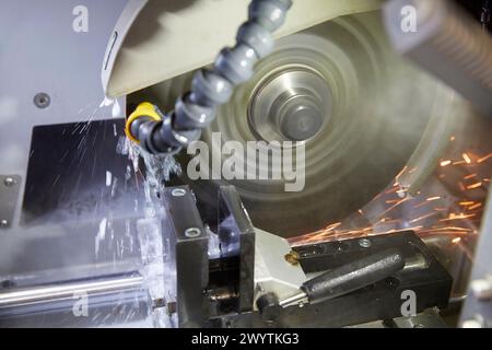 Taglierina. Officina meccanica di preparazione dei campioni incorporati. Caratterizzazione, test e analisi di materiali e componenti. Servizi tecnologici all'industria. Tecnalia Research & Innovation, Donostia, San Sebastian, Gipuzkoa, Paesi Baschi, Spagna. Foto Stock