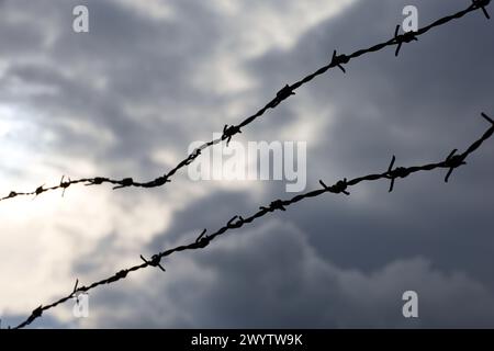 Silhouette di filo spinato arrugginito contro il cielo spettacolare con nuvole scure. Contesto per la prigione, la guerra o l'immigrazione Foto Stock