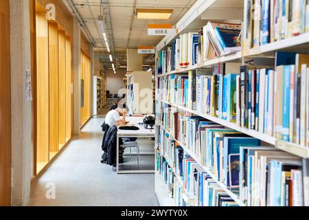 Tavoli di studio, Carlos Santa Maria Center, Gipuzkoa Campus Library, UPV, EHU, Basque Country University, Donostia, San Sebastian, Gipuzkoa, Spagna, Europa. Foto Stock