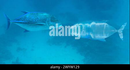 pesce nell'oceano e pesce di plastica Foto Stock