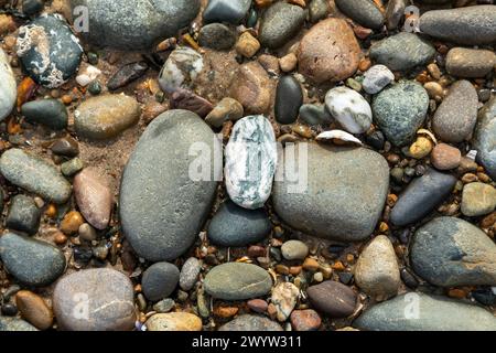 Ciottoli, spiaggia, LLanddwyn Bay, Newborough, Anglesey Island, Galles, Gran Bretagna Foto Stock