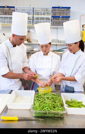 Piselli. Scuola di cucina Luis Irizar. Donostia, Gipuzkoa, Paesi Baschi, Spagna. Foto Stock