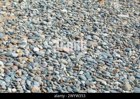 Ciottoli, spiaggia, LLanddwyn Bay, Newborough, Anglesey Island, Galles, Gran Bretagna Foto Stock