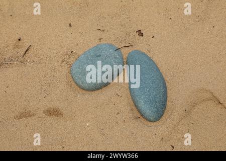 Ciottoli nella sabbia, dune, spiaggia, LLanddwyn Bay, Newborough, Anglesey Island, Galles, Gran Bretagna Foto Stock