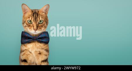 Simpatico gatto del Bengala con un papillon blu. Copia spazio. Foto Stock