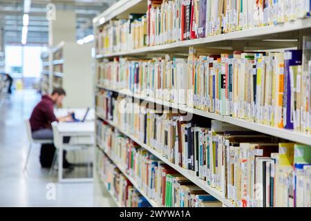 Tavoli di studio, Carlos Santa Maria Center, Gipuzkoa Campus Library, UPV, EHU, Basque Country University, Donostia, San Sebastian, Gipuzkoa, Spagna, Europa. Foto Stock