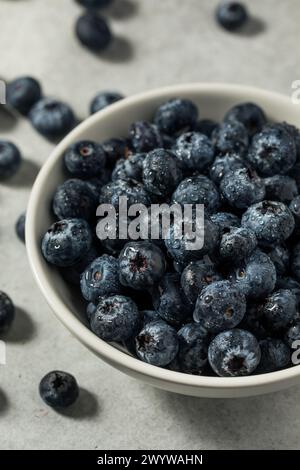 Mirtilli blu crudi biologici pronti da mangiare Foto Stock