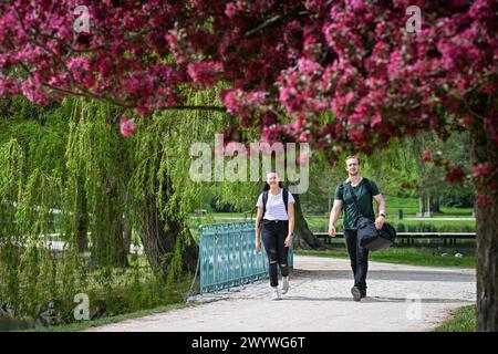 Praga, Repubblica Ceca. 8 aprile 2024. Persone nel parco Stromovka con il caldo sole, Praga, Repubblica Ceca, 8 aprile 2024. Crediti: Vit Simanek/CTK Photo/Alamy Live News Foto Stock