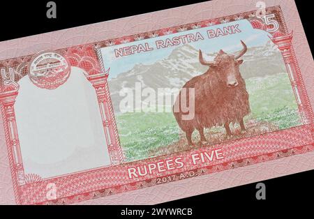 Dietro la banconota di carta da cinque rupie stampata dal Nepal, che mostra Wild Yak Foto Stock