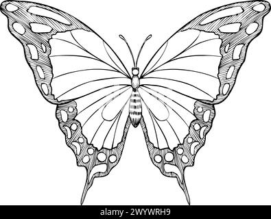 Illustrazione del vettore Butterfly Machaon. Disegno di insetto con ali dipinto da inchiostri neri. Schizzo disegnato a mano di falena volante per inviti di nozze o cartoline. Incisione vintage per icona o logo. Illustrazione Vettoriale