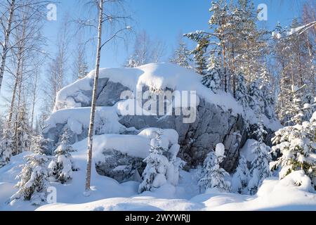 Giorno di gennaio ghiacciato nel Ruskeala Mountain Park. Carelia, Russia Foto Stock