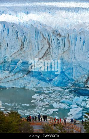 Ghiacciaio Perito Moreno. Parco nazionale Los Glaciares. Lago Argentino. Vicino a EL Calafate. Provincia di Santa Cruz. Patagonia. Argentina. Foto Stock