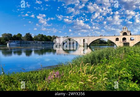 Le Pont Saint Benezet, le Rhône, Avignone, Vaucluse, Provence-Alpes-Côte dAzur, Francia, Europa. Foto Stock