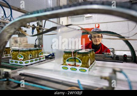 Etichettatura e confezionamento di verdure in scatola, fagioli verdi, industria conserviera, prodotti agroalimentari, centro logistico, Grupo Riberebro, Alfaro, la Rioja, Spagna. Foto Stock