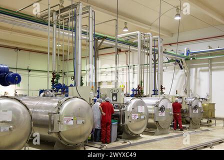 Sterilizzazione in autoclave in contenitori ermeticamente sigillati con il metodo Appert, Appertization, linea di produzione di conserve di verdure e fagioli, industria conserviera, Agri-food, Gutarra, Grupo Riberebro, Villafranca, Navarra, Spagna. Foto Stock