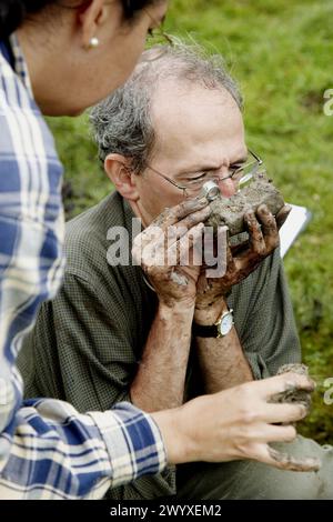 Osservazione dei macrofossili, campionamento della torba, ricerca sui cambiamenti climatici, Neiker-Tecnalia, unità ambiente, Belate, Navarra, Spagna. Foto Stock