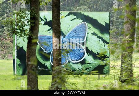 Zonder Titel (senza titolo), Cor Dera (1956). Giardino del museo Kröller-Müller, Het Nationale Park De Hoge Veluwe. Gelderland, Paesi Bassi. Foto Stock